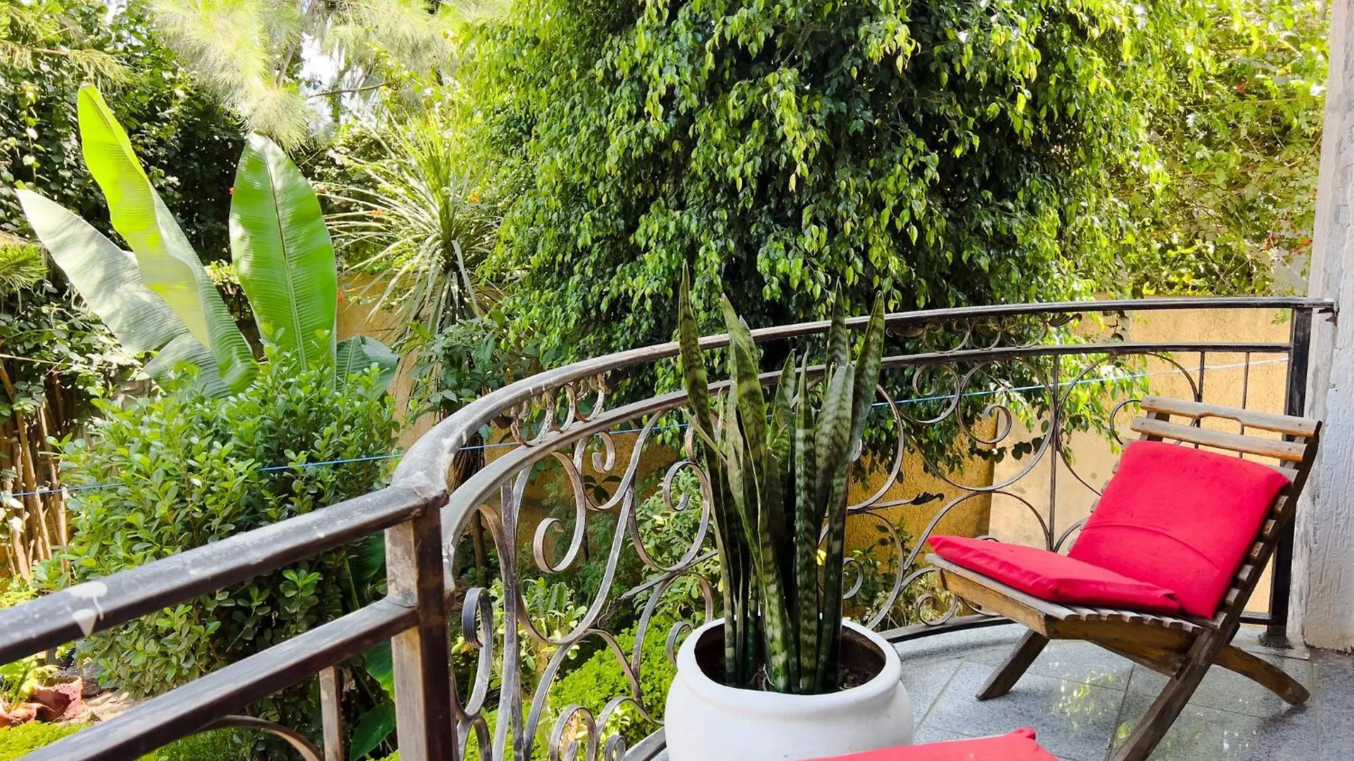 Mad Vervet Backpackers Hostel Addis-Abeba