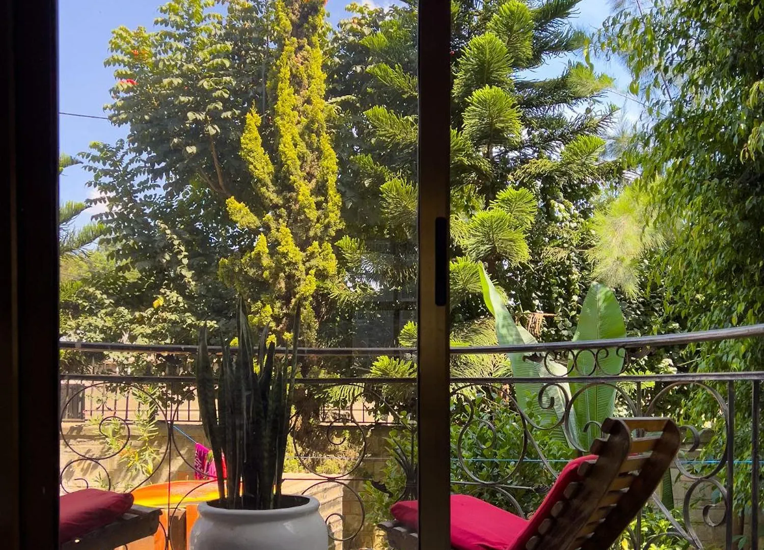 Mad Vervet Backpackers Hostel Addis-Abeba 0*,